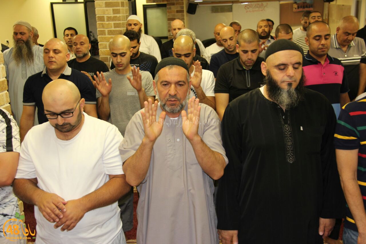 trawe7 mohamed fateh (7).jpg